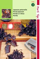 Perilla Crispum Paarsbladig Shiso - Hortitops