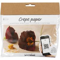 Creativ Company Mini hobbyset crêpepapier, klaprozen, crêpe-verhouding: 180%, 105 gr, 1 doos
