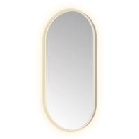 Spiegel Hotbath &MORE 100x50 cm LED-Verlichting Spiegelverwarming Ovaal RVS