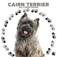 Cairn Terrier Kalender 2026