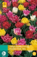 Tulipa Dubbel Vroeg mix 8 bollen - JUB - thumbnail