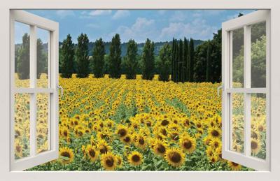Tuindoek raam zonnebloemen 210x140cm - Customize it
