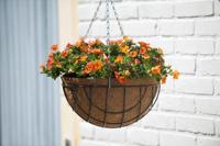 Hanging basket metaaldraad groen geepoxeerd incl. ketting H13x dia. 25cm - Nature