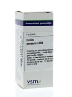 VSM Bellis perennis 30K (4 gr)
