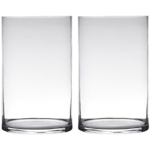 Set van 2x stuks transparante home-basics cylinder vorm vaas/vazen van glas 40 x 19 cm