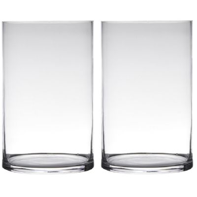 Set van 2x stuks transparante home-basics cylinder vorm vaas/vazen van glas 40 x 19 cm