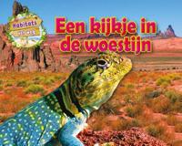 Een kijkje in de woestijn (Hardback)