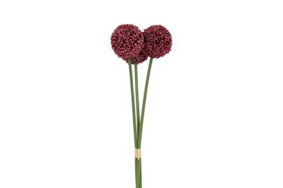 Decostar Countryfield Allium*3 fuchsia