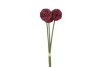 Decostar Countryfield Allium*3 fuchsia