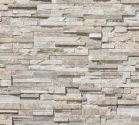 AS Creation Elements 2 - Beige - Steenlook - 388161