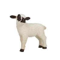 Mojo farmland zwartkopschaap lam 387059
