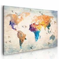 Schilderij - Vrij als een vogel, wereldkaart , multi kleur