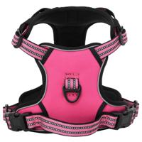 VidaXL Hondentuigje met riem en halsband verstelbaar m roze