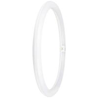 OSRAM LED-Ring Energielabel: E (A - G) G10q 24 W = 40 W Neutraalwit 1 stuk(s) (Ø x l) 400 mm x 400 mm