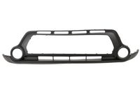 Bumper 5510003283901P