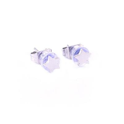 Go Dutch Label Oorbellen Sterretje Zilver