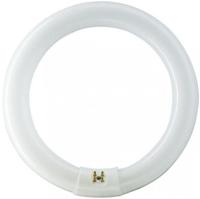 Philips ronde tl 40w/840 tle coolwhite 5900617