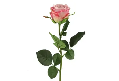 Countryfield kunsttak roos 70cm roze