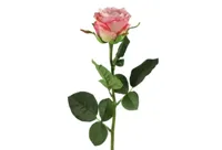 Countryfield kunsttak roos 70cm roze