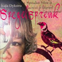 Spegelspreuk