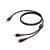 Procab CLA711 Classic 1x mini-jack - 2x RCA verloopkabel 3m