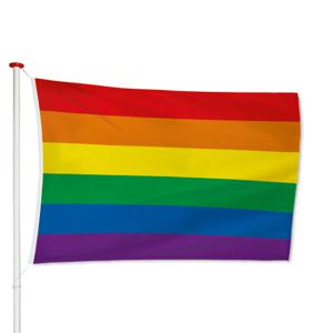 Regenboog vlag / LGBT vlag