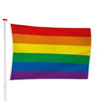 Regenboog vlag / LGBT vlag - thumbnail