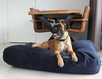 Dog's Companion® Hondenbed donkerblauw ribcord superlarge