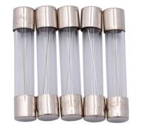 Dresselhaus Glass fuses 6.3x30 20a f. japanese vehicles.