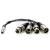 Atomos 10-pin LEMO naar XLR breakout kabel voor Shogun