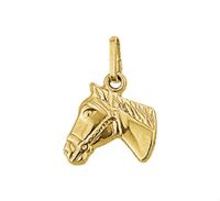 Hanger Paardenhoofd geelgoud 11,5 mm