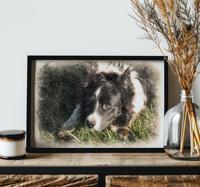 Aangepast vintage-effect andere dieren poster