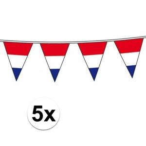 Vlaggenlijn Holland - 5x - Nederlandse vlag - rood wit blauw - 10 meter