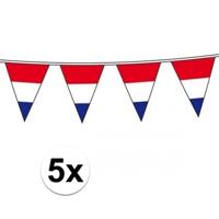 Vlaggenlijn Holland - 5x - Nederlandse vlag - rood wit blauw - 10 meter