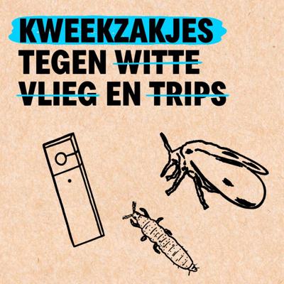 100 SWIRSKII KWEEKZAKJES | tegen witte vlieg en trips