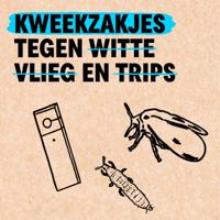 100 SWIRSKII KWEEKZAKJES | tegen witte vlieg en trips