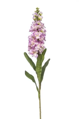 Emerald kunsttak matthiola 80cm paars