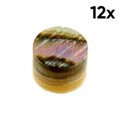 Allparts LT-0497-081 Fingerboard Side Dots 2.3mm Abalone (12 Stuks)
