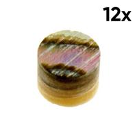 Allparts LT-0497-081 Fingerboard Side Dots 2.3mm Abalone (12 Stuks)