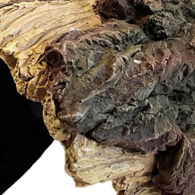 Repto Aquadistri deco wood home xl - Aquadistri