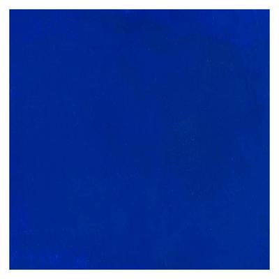 Bruynzeel Ecola plakkaatverf fles 16ml donkerblauw 502