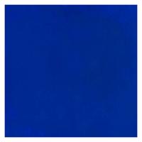 Bruynzeel Ecola plakkaatverf fles 16ml donkerblauw 502
