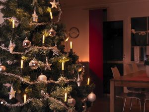 Konstsmide 1068-020 Kerstboomverlichting Binnen werkt op het lichtnet Aantal lampen 10 LED Warmwit Verlichte lengte: 6.75 m