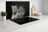Spatscherm Keuken 60x90 cm