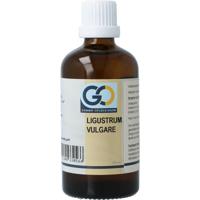 GO GO ligustrum vulgare bio GO GO ligustrum vulgare bio