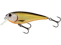 Westin RawBite 11cm 27Gr Low Floating Official Roach
