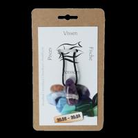 Steengoed Sterrenbeeldsteen hanger vissen 1 Stuks