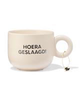 HEMA Mok 280ml Geslaagd