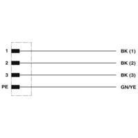 Phoenix Contact 1408837 Sensor/actuator connector, geassembleerd Aantal polen: 4 5.00 m 1 stuk(s) - thumbnail