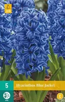 X 5 Hyacint Blue Jacket - thumbnail